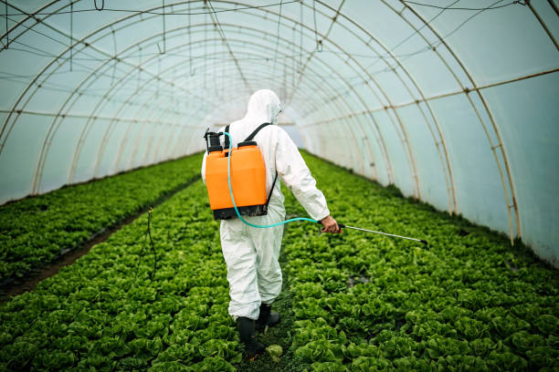 Pest Control Cost in New Brockton, AL