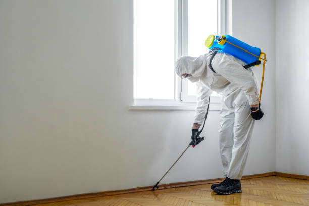 Best Local Pest Control Services  in New Brockton, AL