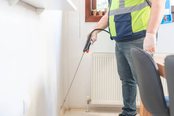 Flea Control Services in New Brockton, AL