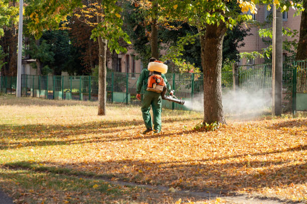 Trusted New Brockton, AL Pest Control Experts