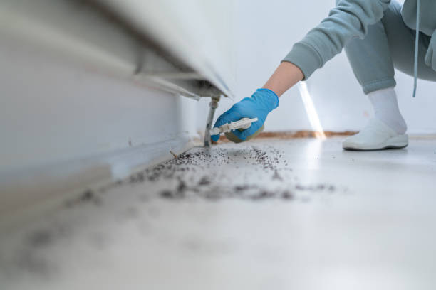 Best Pest Control Cost  in New Brockton, AL